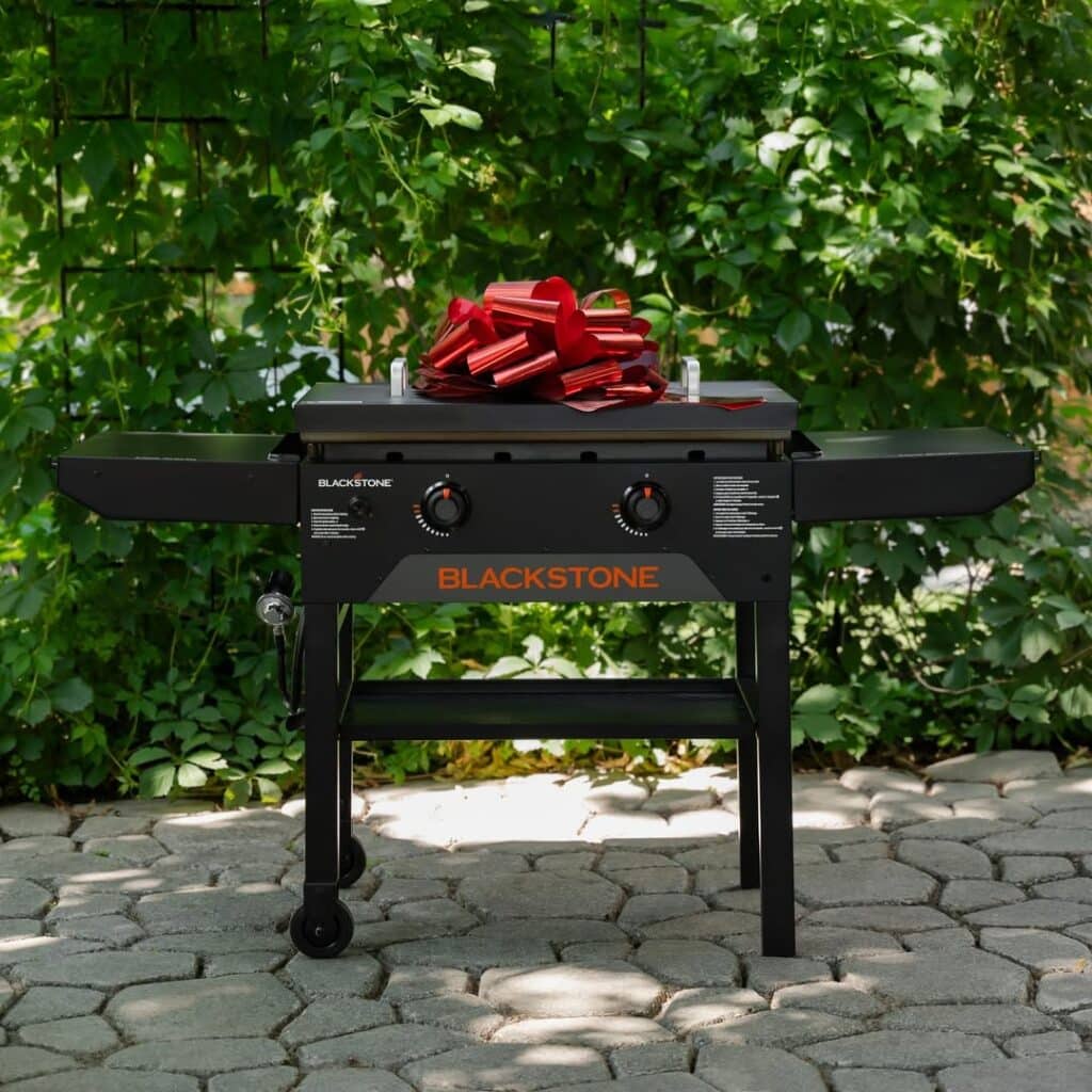 Best Flat Top Gas Grills For 2025: Buying Guide And Reviews 2 Blackstone 2-Burner Gas Grill