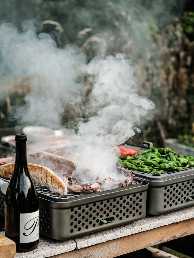 8 Best Portable Gas Grills In 2025: Buying Guide &Amp; Reviews 1 Cooking Surface Area Of A Portable Gas Grill