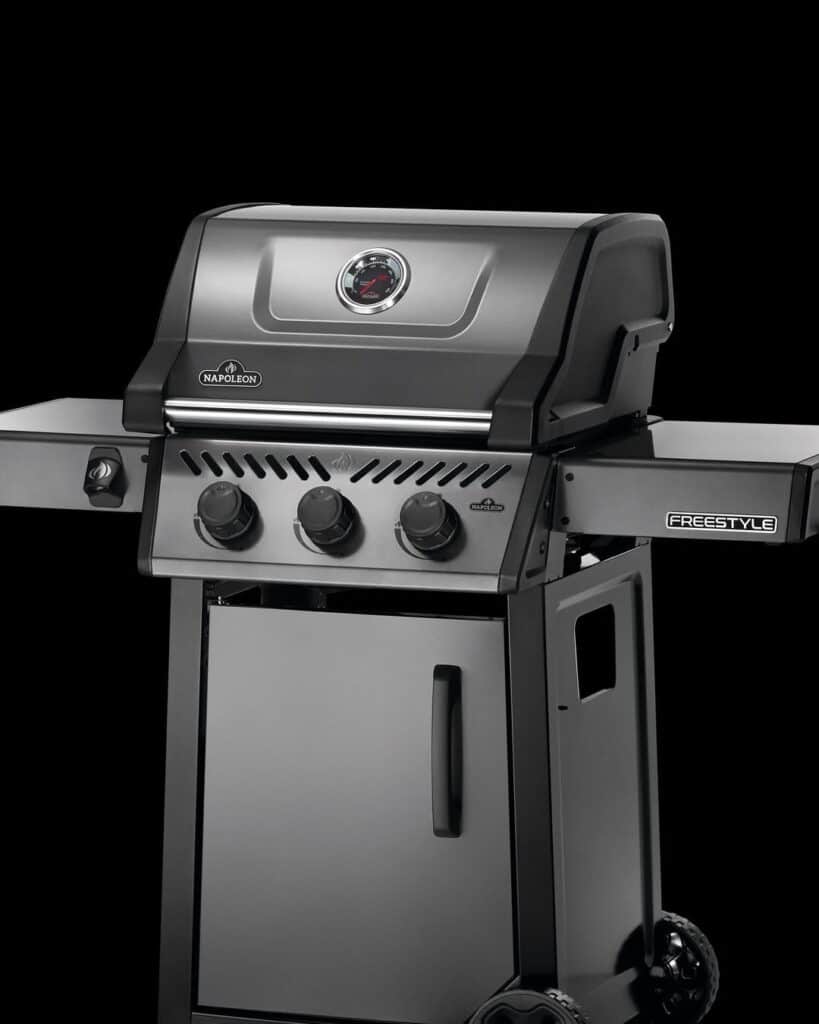 Napoleon Freestyle 365