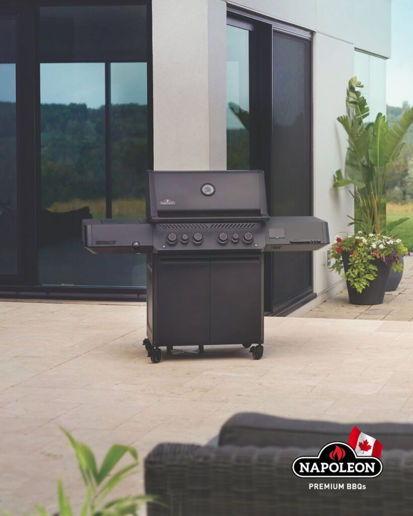 Best Built-In Gas Grills In 2025: Buyers Guide &Amp; Reviews 6 Napoleon Prestige 500
