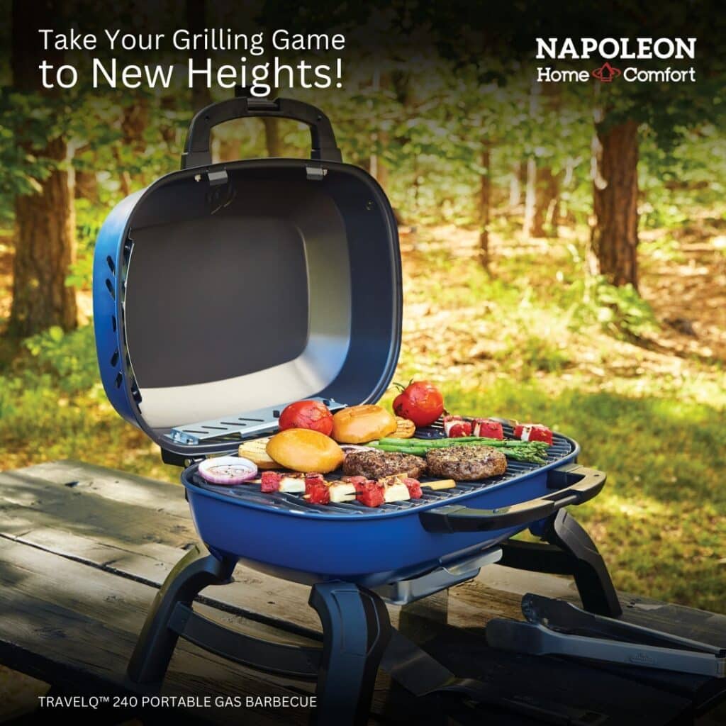 7 Best Small Gas Grills In 2025: Buying Guide &Amp; Reviews 5 Napoleon Travelq 240