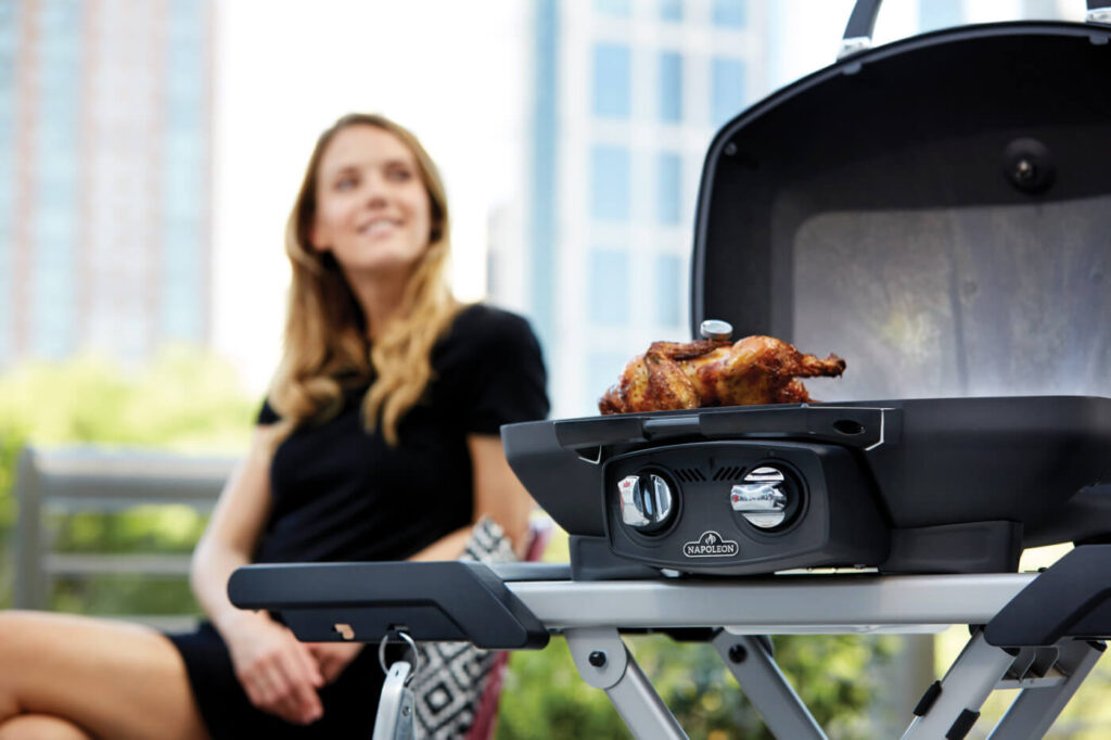 Napoleon Travelq Pro 285