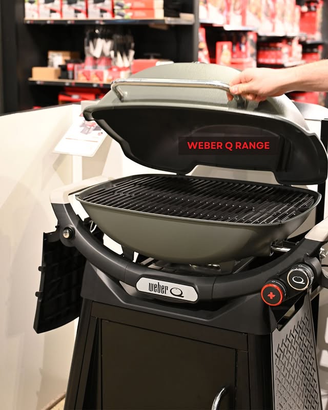 8 Best Portable Gas Grills In 2025: Buying Guide &Amp; Reviews 3 The Weber Q1000 Compact Portable Gas Grill