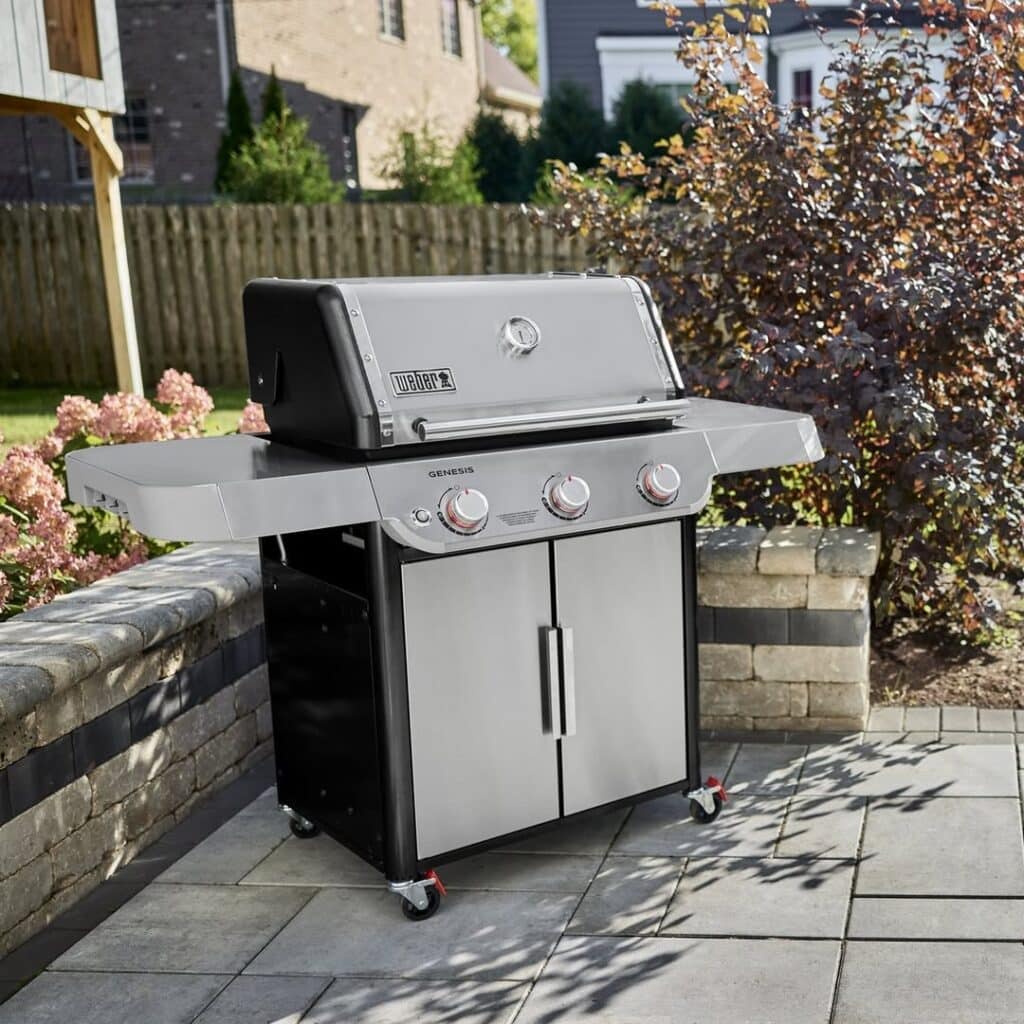 Weber Genesis Ii S 310