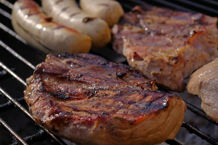 Traeger Renegade Pro Review Should You Buy It in 2024?