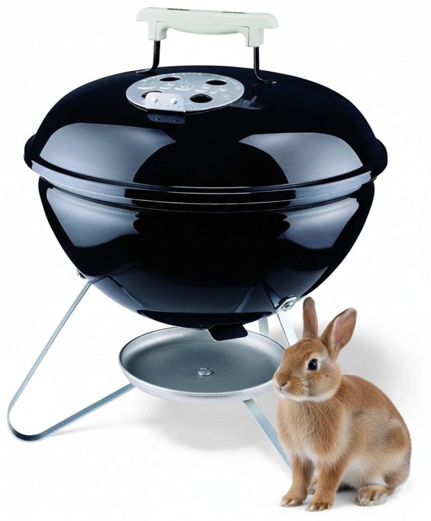 Weber Smokey Joe Grill