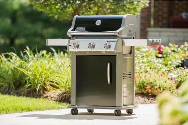 Members Mark Grill Review: Putting The Flames To The Test 5 Weber Spirit Ii E-310
