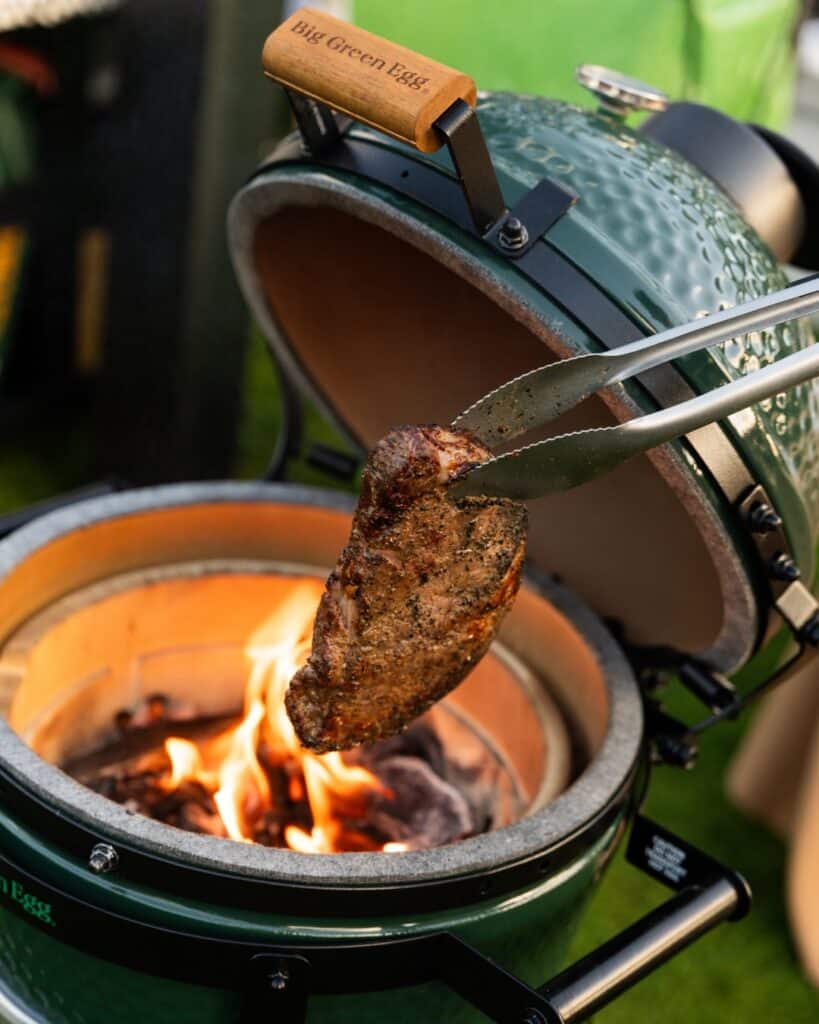 Big Green Egg Kamado Style Grill