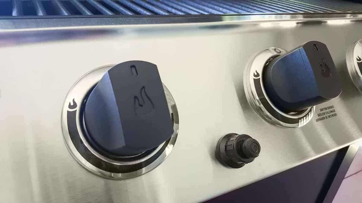 Nexgrill 6Burner Deluxe Gas Grill Review The Basics
