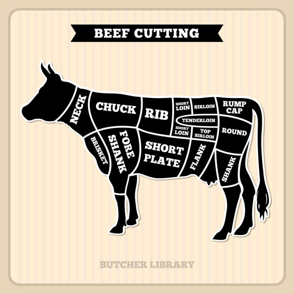 cow cuts butcher vector diagram