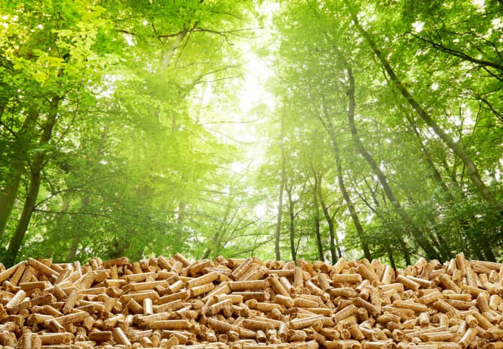 Wood Pellets vs Wood Chips Creating a Taste Sensation
