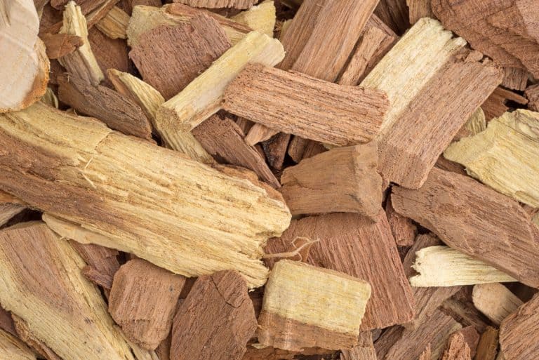 Hickory vs Mesquite All You Need To Know For Your Next BBQ