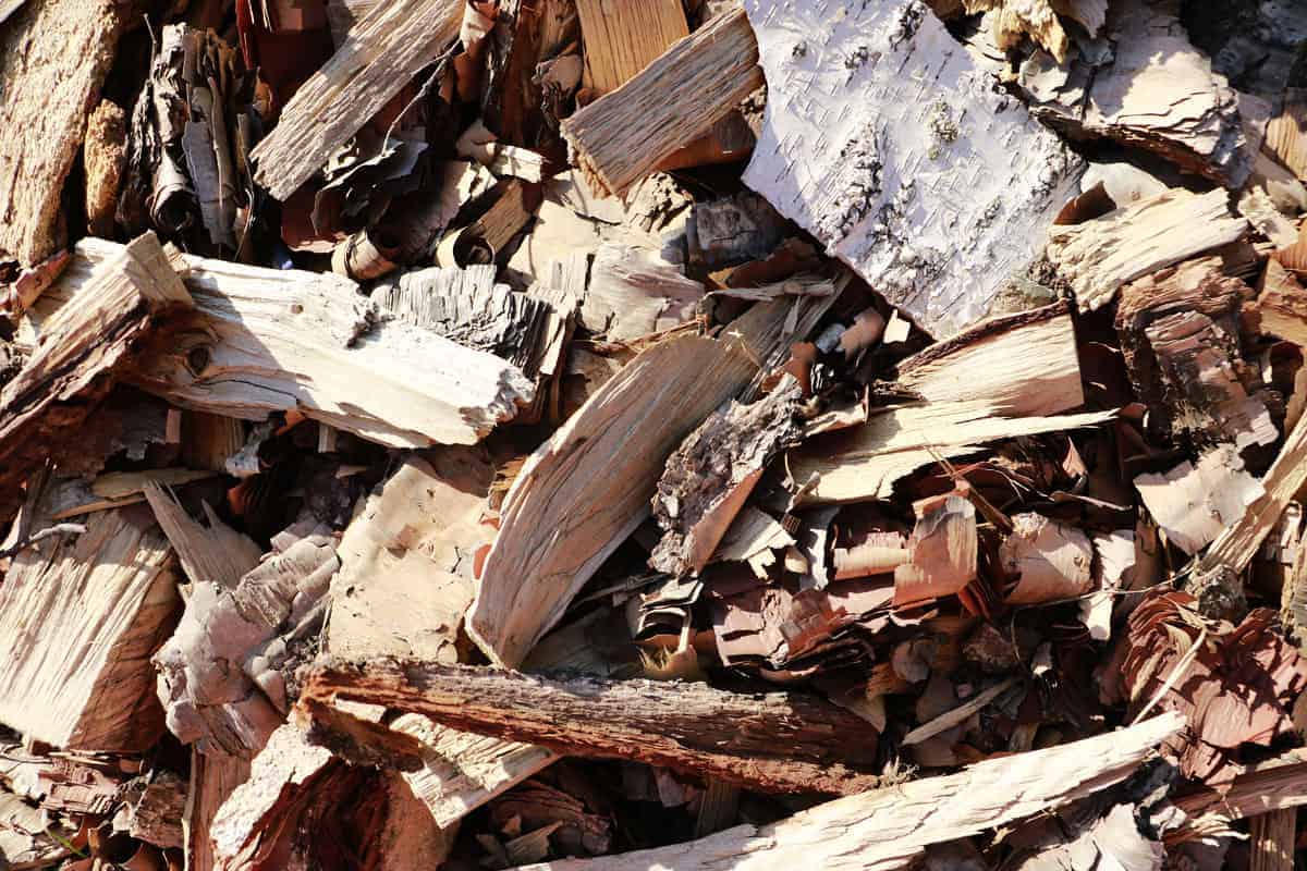 Wood Pellets vs Wood Chips Creating a Taste Sensation