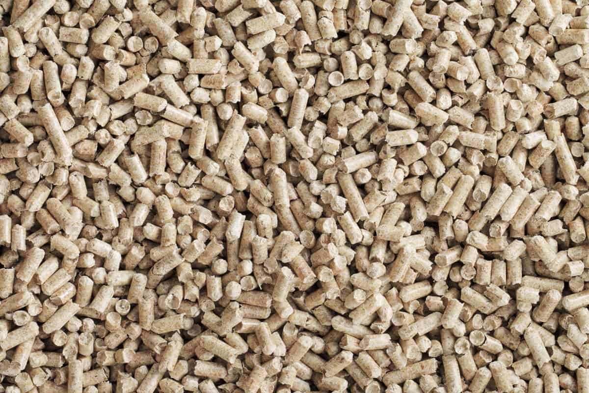 Wood Pellets vs Wood Chips Creating a Taste Sensation