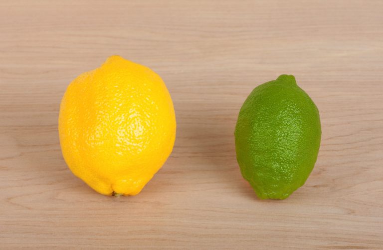 Substitute For Cider Vinegar In Pulled Pork What To Use