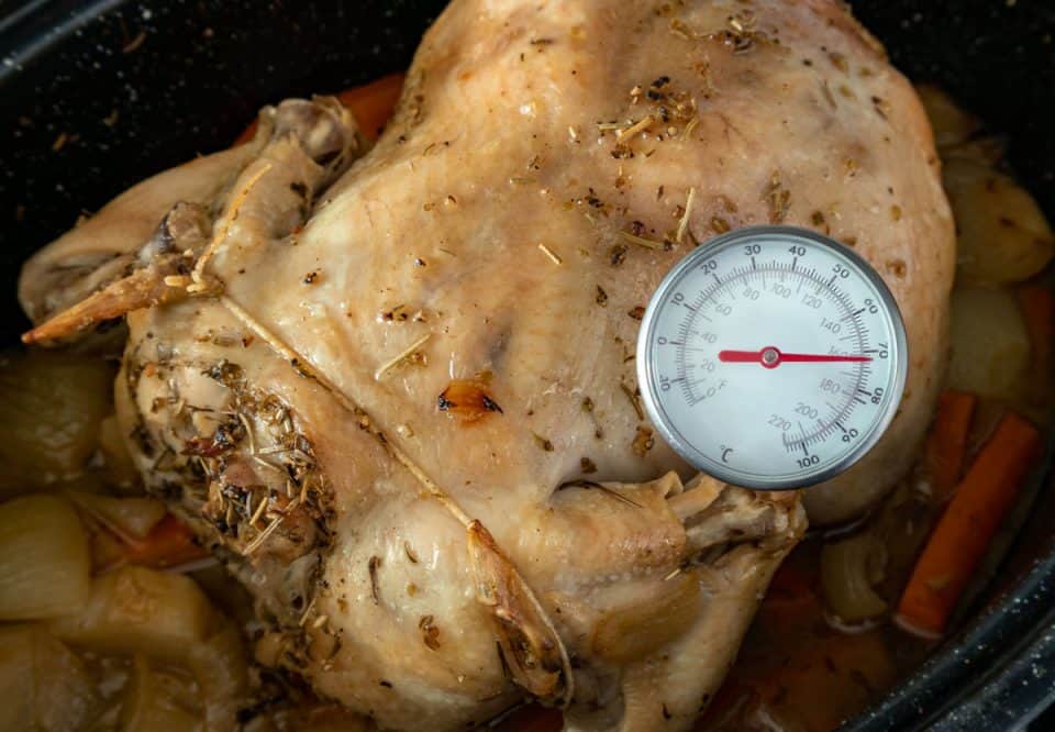 Where To Probe Chicken: Tips On Getting The Right Readout