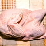 How To Know If Turkey Is Bad