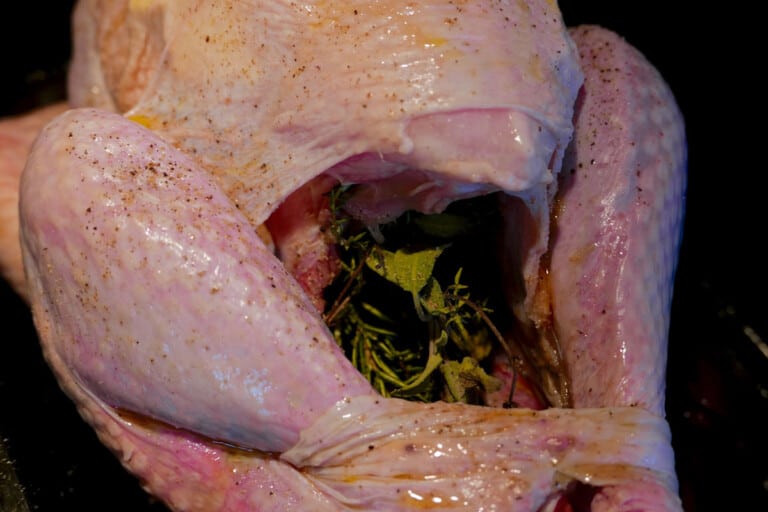 Brown/Black Spots On Turkey: Is This Normal? Help!