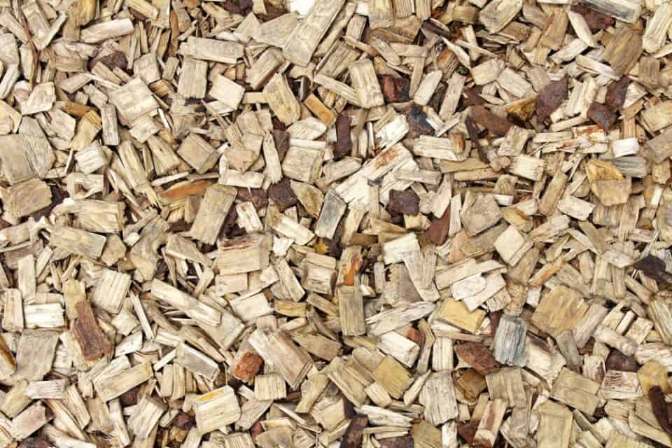 Best Pellets for Turkey Which Flavors Fly Highest?