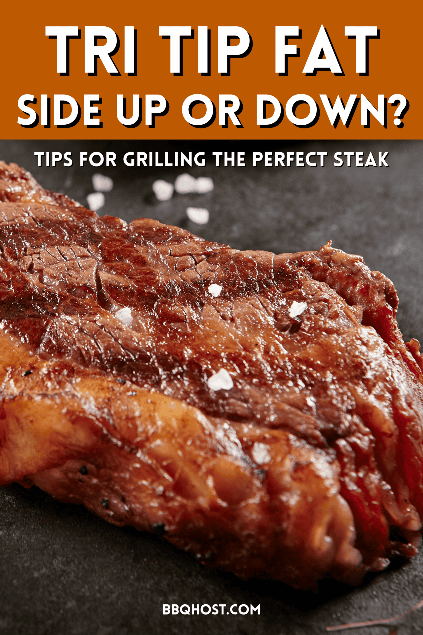 Tri Tip Fat Side Up or Down (Or Does It Really Matter)?