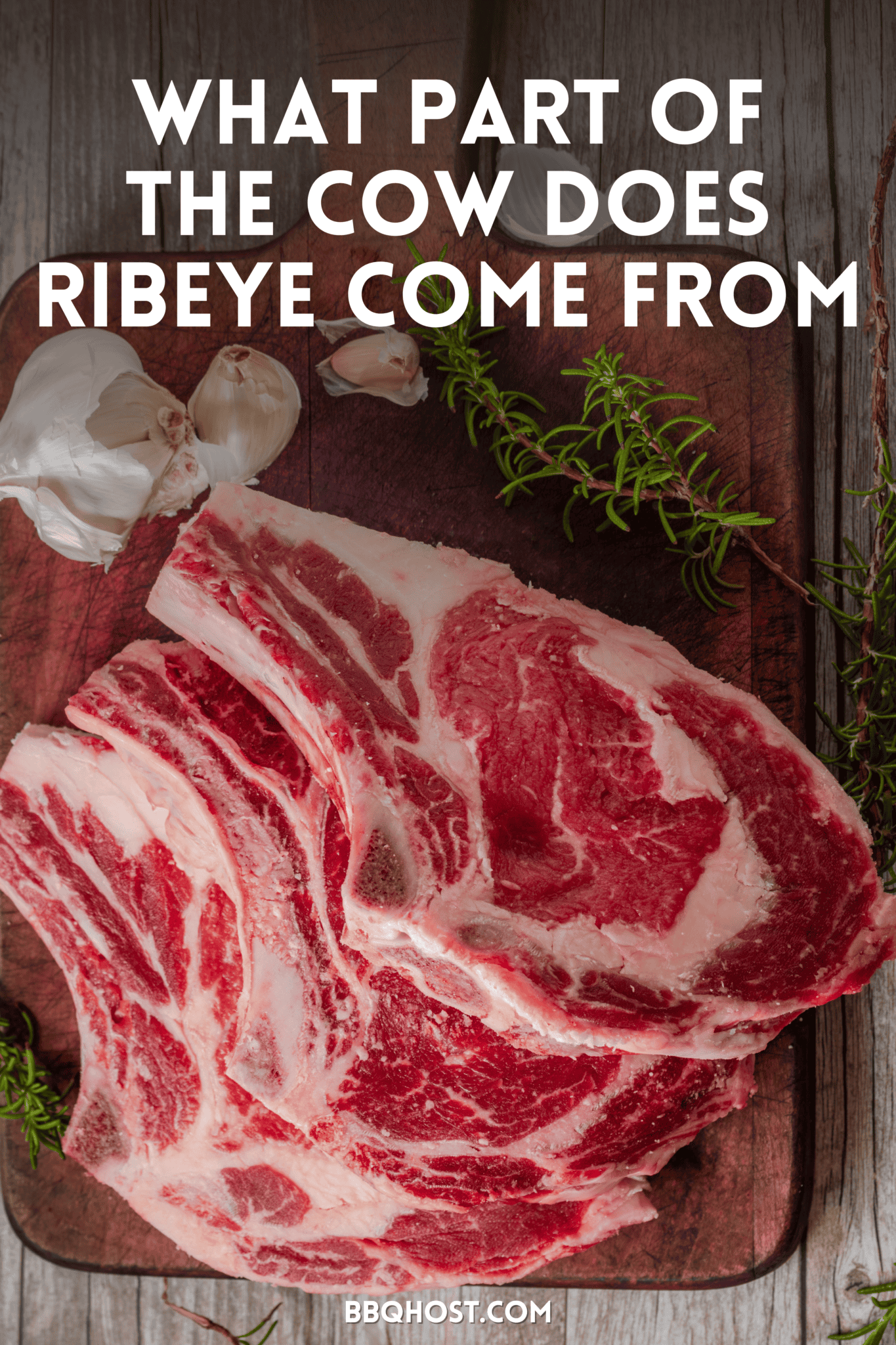 What Part of the Cow Does Ribeye Come From? A Primer