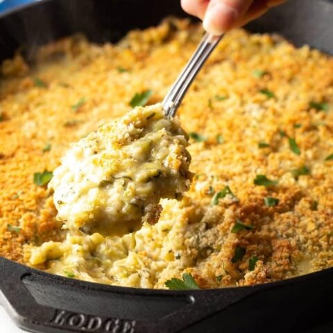 Baked Cheesy Zucchini Casserole Side Dish Rapture