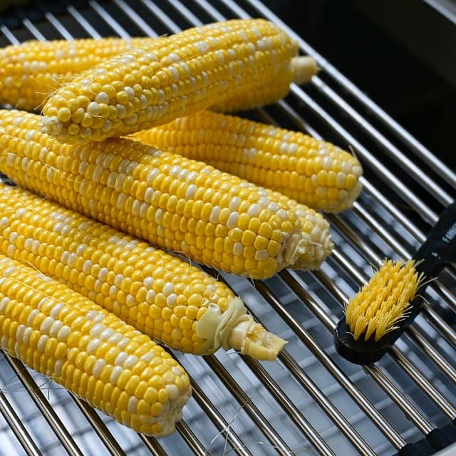 keeping the corn cob flavor fresh 