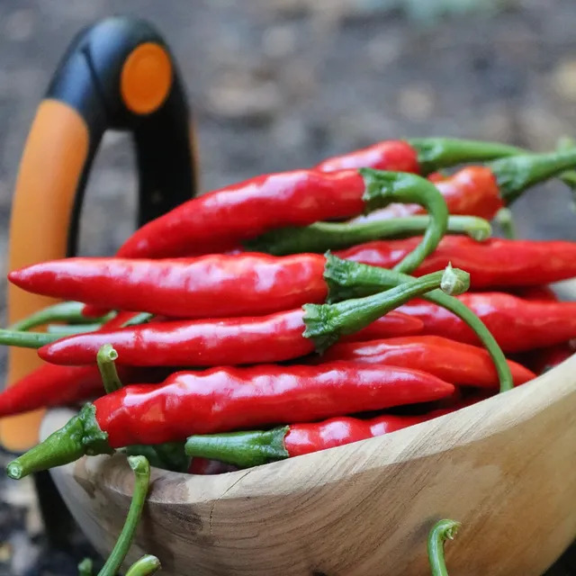 Homemade Vs. Store-Bought Bbq Rubs: A Flavor Analysis 4 Guntur Sannam Chilli Pepper