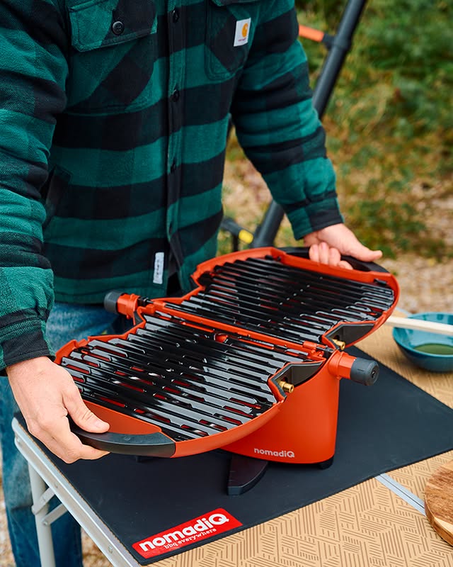 A Complete Guide To 20 Types Of Grills (And What They'Re Best For) 14 Portable Gas Grill