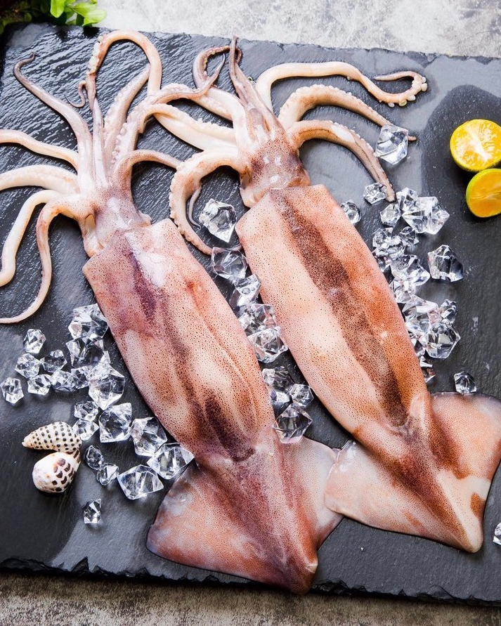 Acquiring Fresh Squid For Grilling