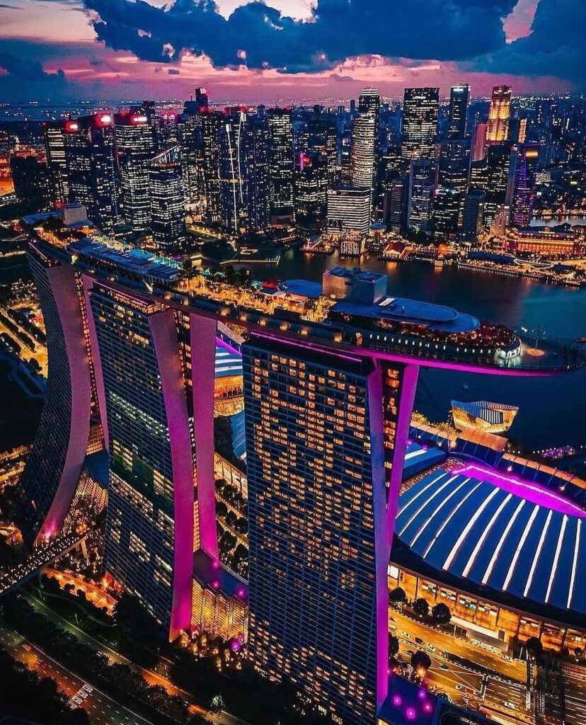 How To Make Hainanese Chicken Rice And Chili Crab At Home 2 Singapore City Lights