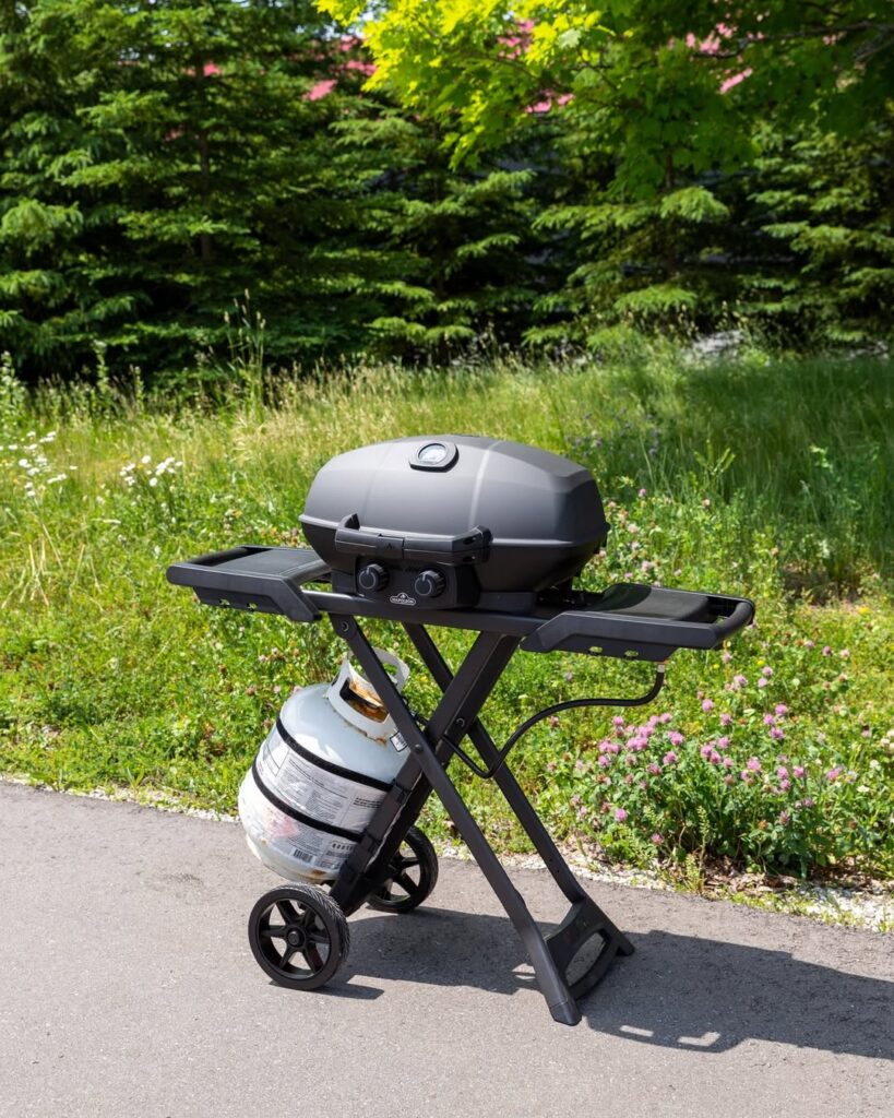 Best Portable Grills For Rv Life And Travel Adventures 6 Travelq Pro285X Portable Grill