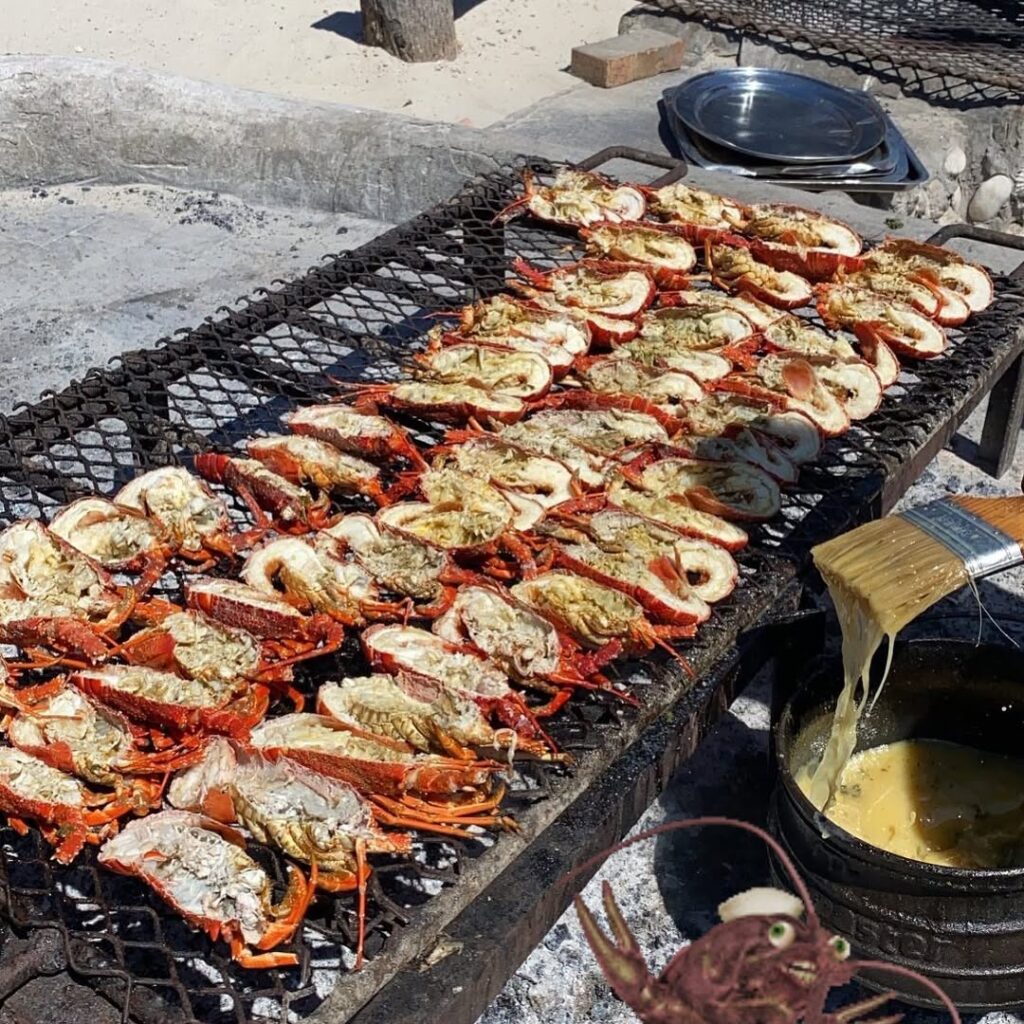 Everything You Need To Know About A South African Braai Bbq: Food, Friends, And Tradition 2 Various Braai Foods