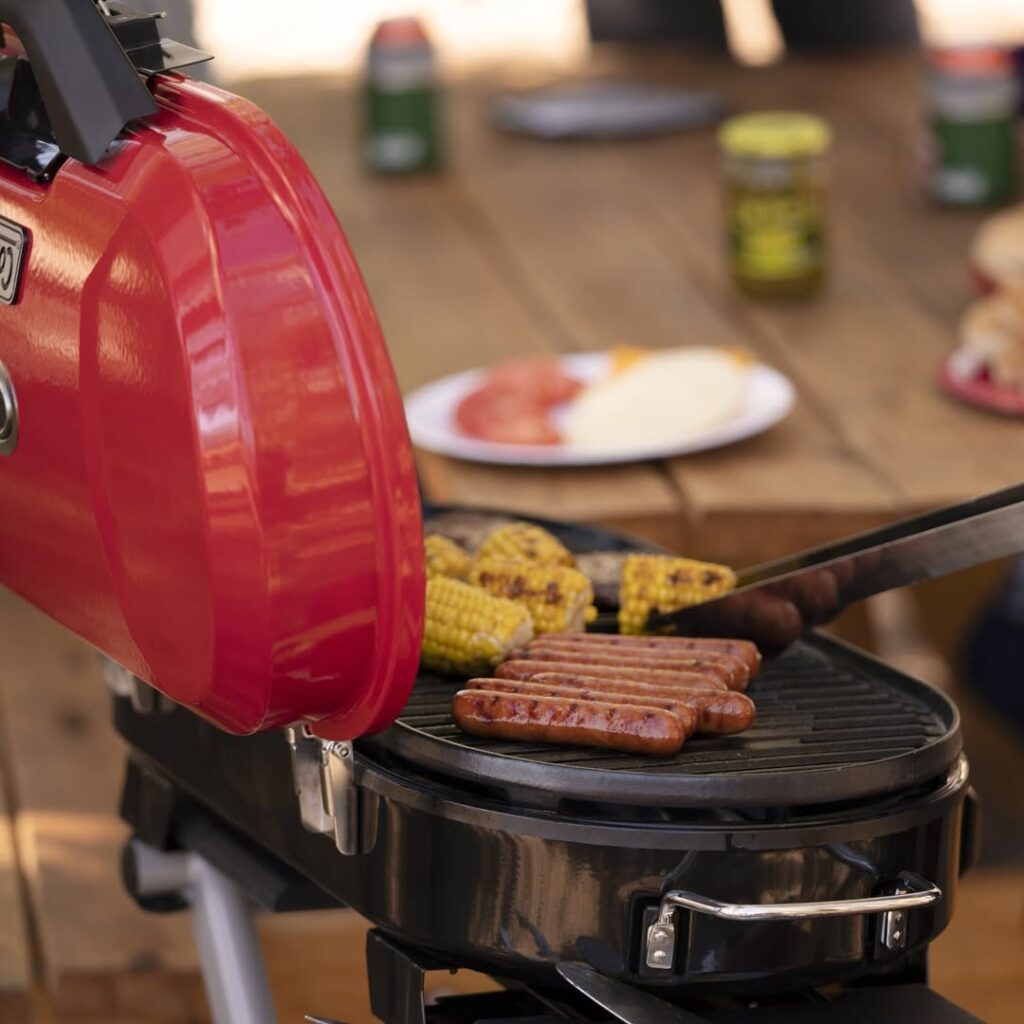 No Space? No Problem! Best Mini Bbq Grills For Small Homes 7 Coleman Roadtrip 225