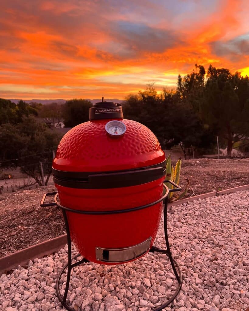 No Space? No Problem! Best Mini Bbq Grills For Small Homes 12 Kamado Joe Junior