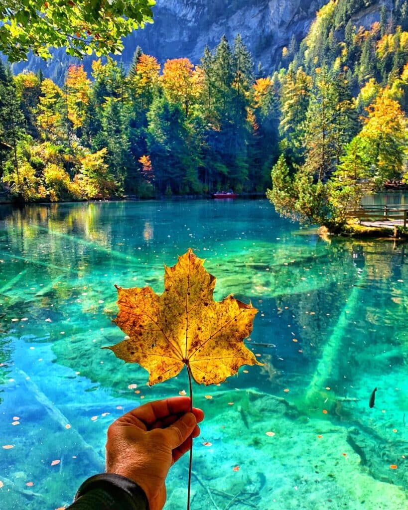 Nordic Bbq: How Scandinavians Grill Fish, Game, And Vegetables 1 Nature In Scandinavia