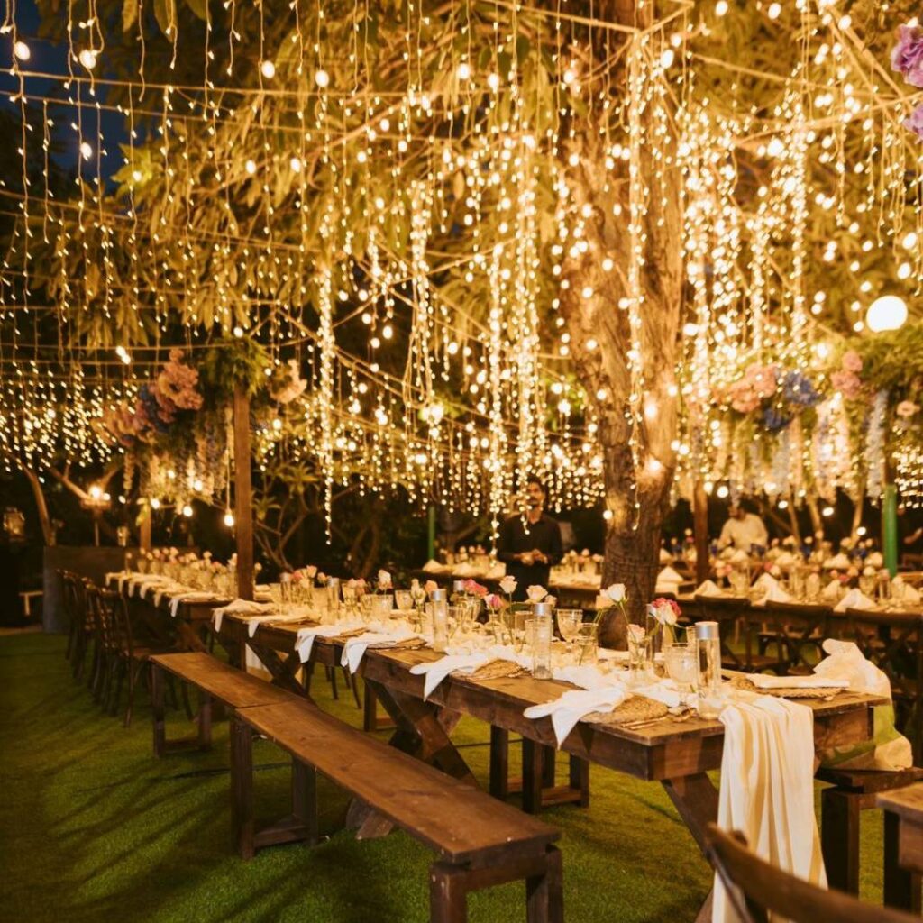 String Lights On Trees