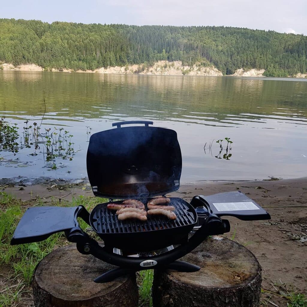 No Space? No Problem! Best Mini Bbq Grills For Small Homes 6 Weber Q1200 Portable Gas Grill