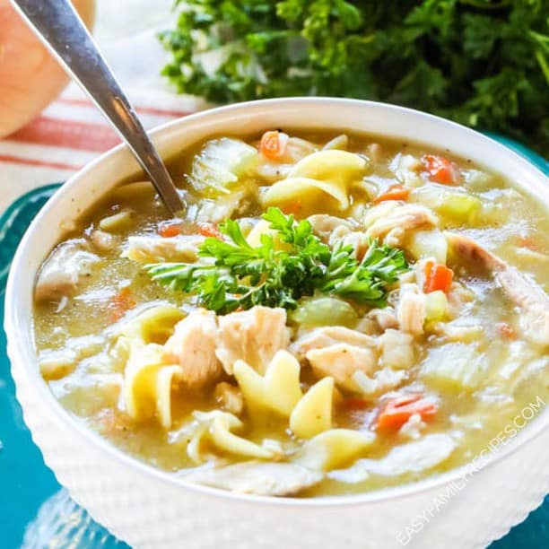 Chicken Noodle Soup