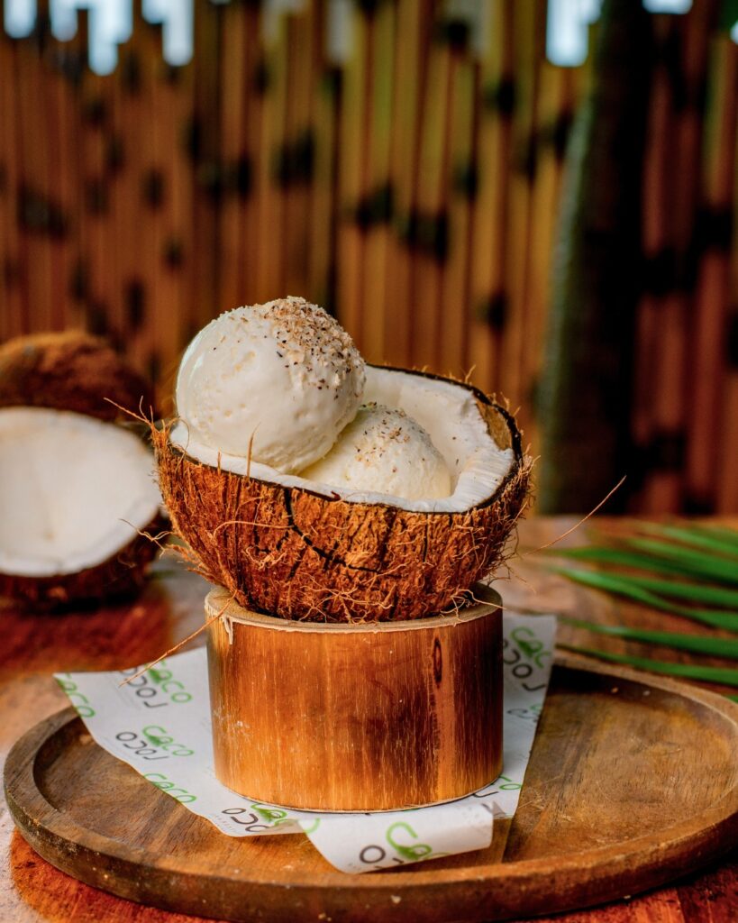 Coconut Flavor Ice Cream