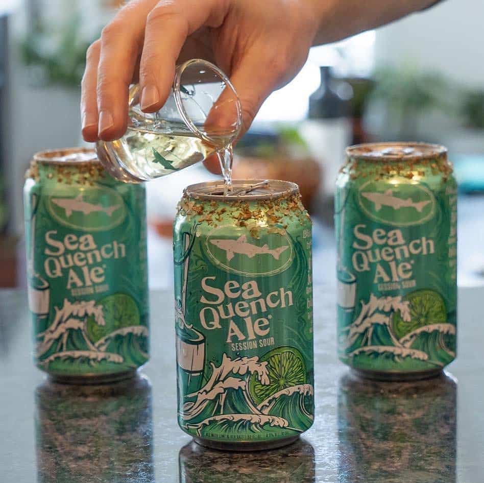 Dogfish Head Seaquench Ale