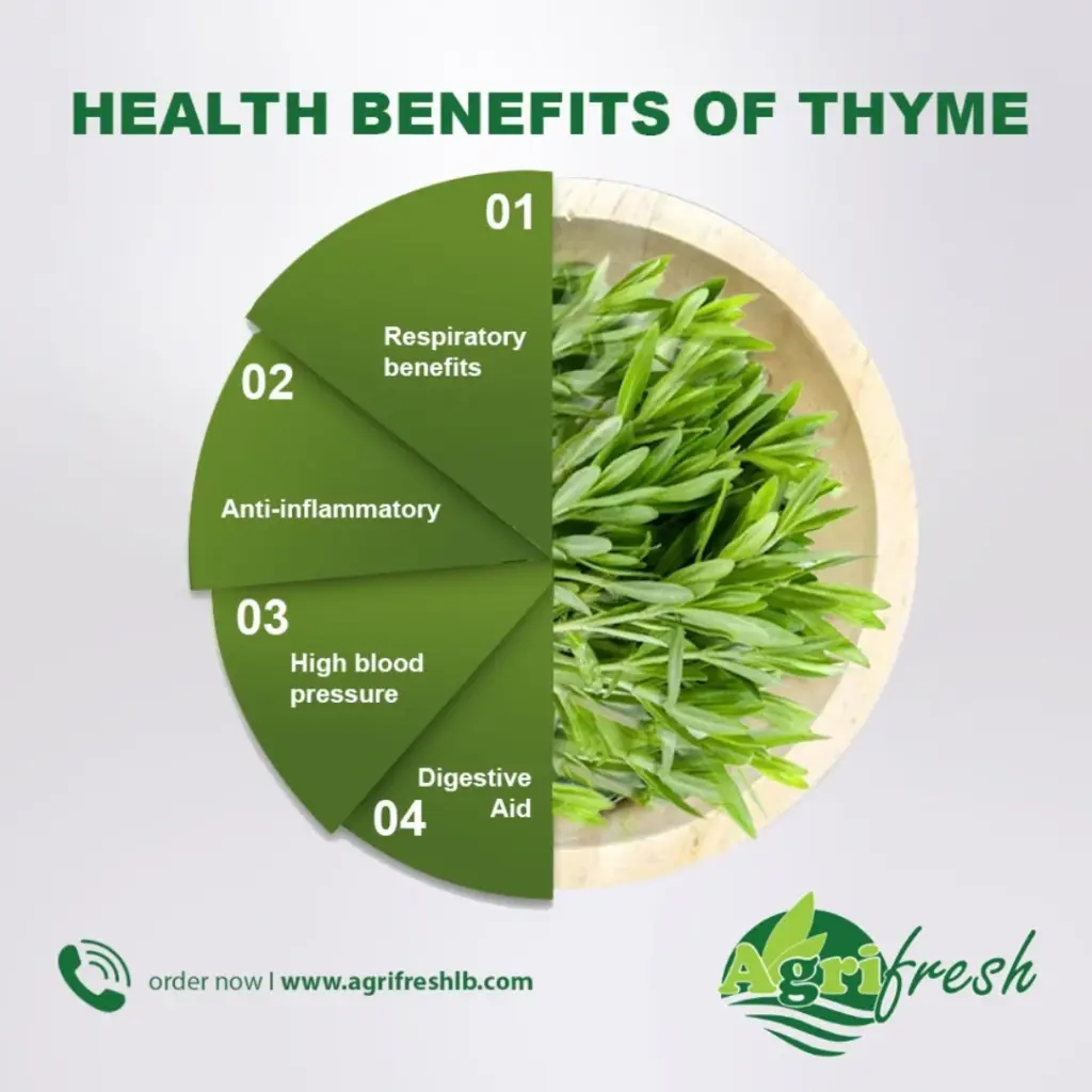 Health Benefits Of Thyme