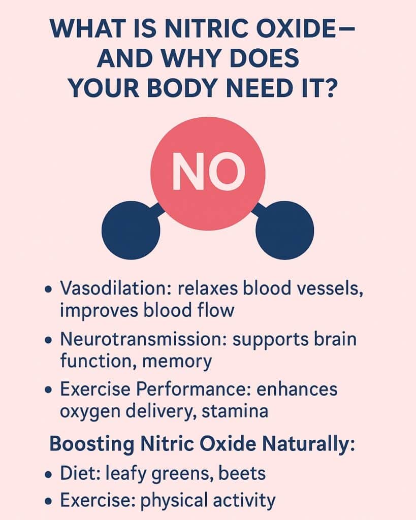 Nitric Oxide Explained