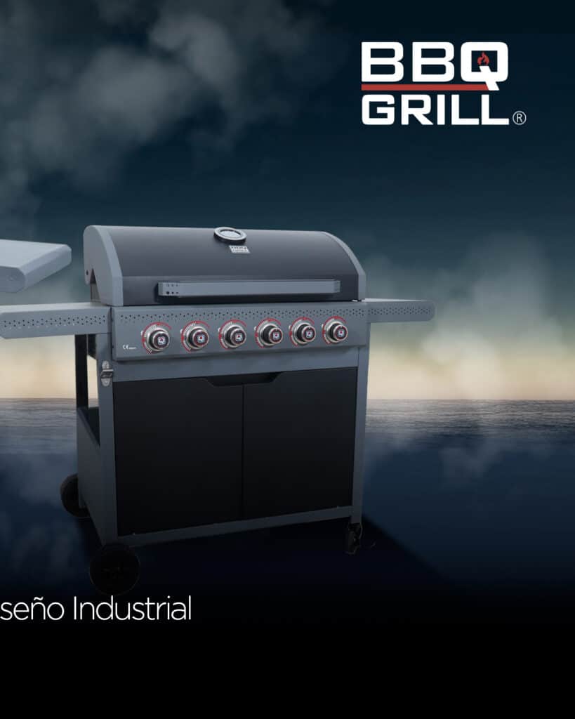 Southern Europe Bbq Gas Grill 