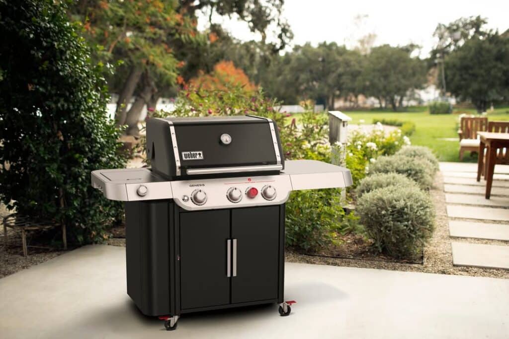 Pitmaster-Approved: The 10 Best Lng Grills Of 2026 1 Weber Genesis E 335