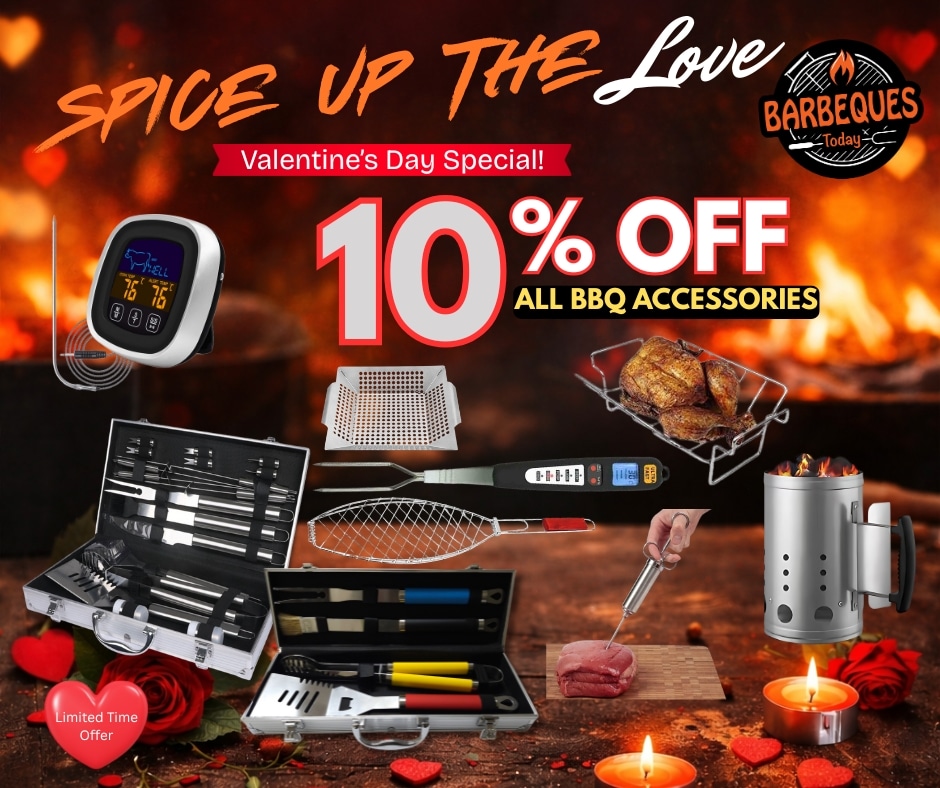 bbq guru set it and forget it high tech grilling tools