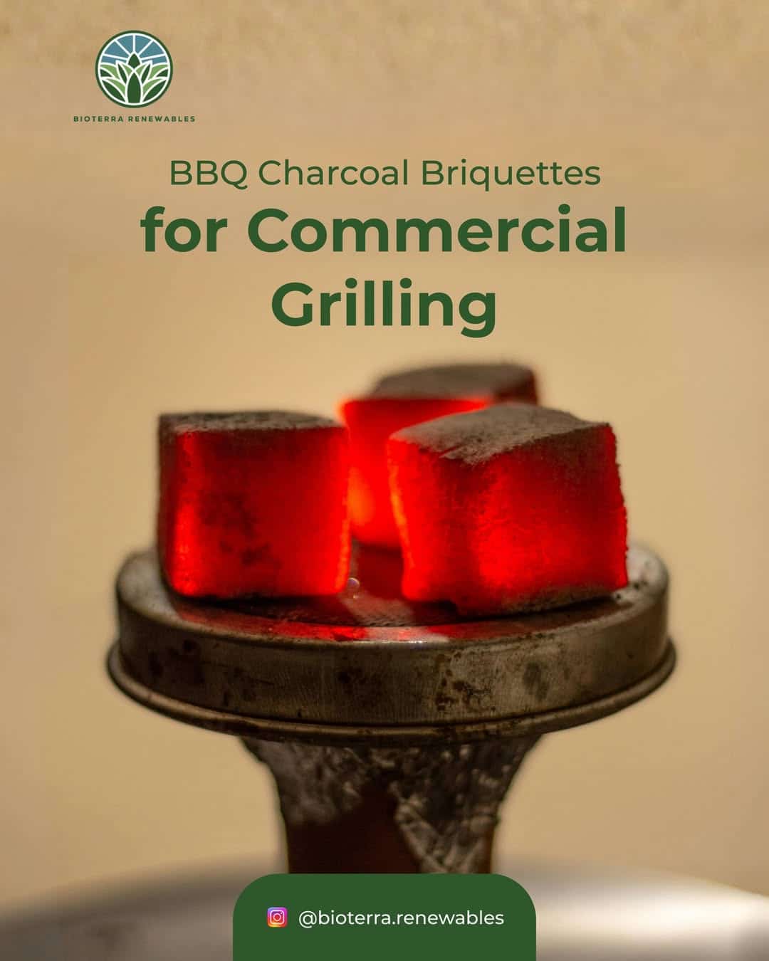 best charcoal brands for grilling