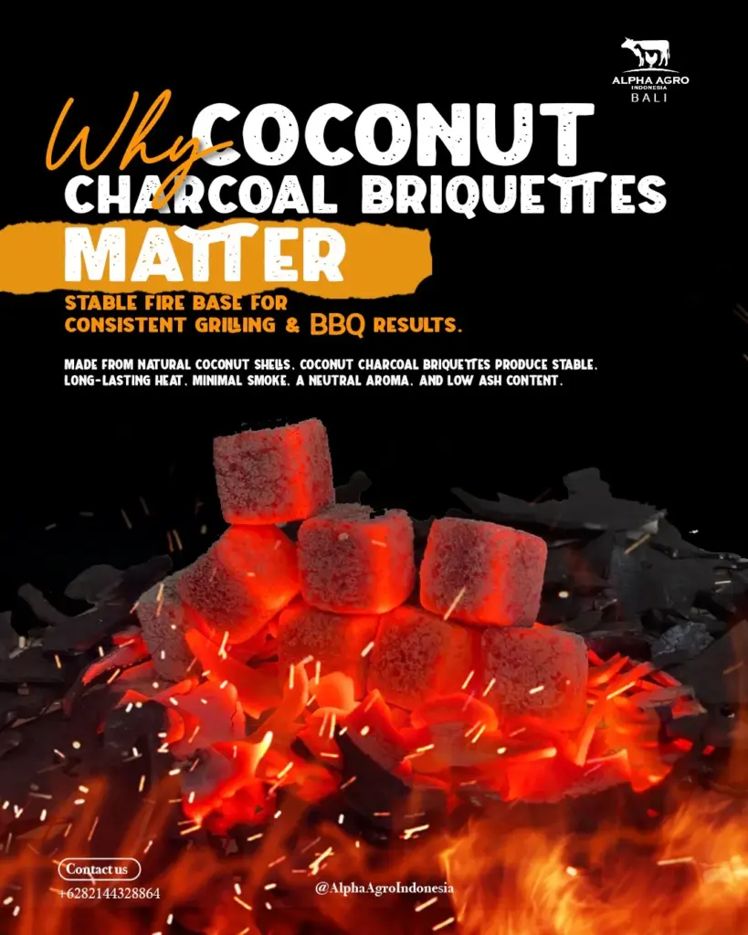 Coconut Charcoal Briquettes