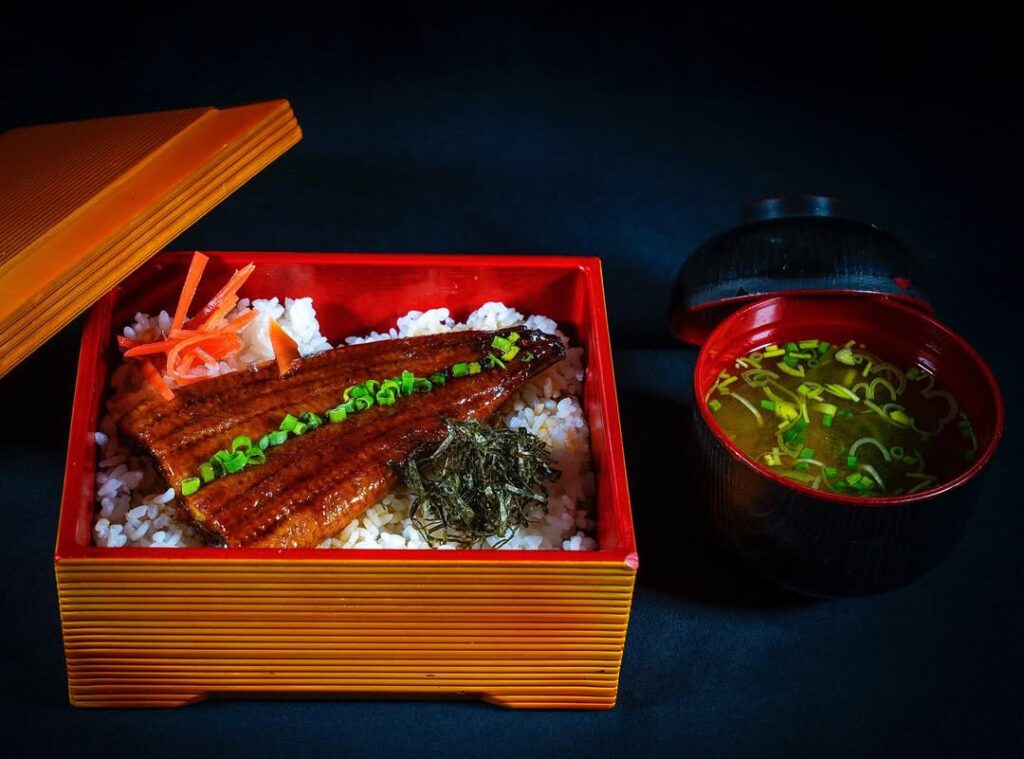 Japanese Teriyaki Grilled Eel