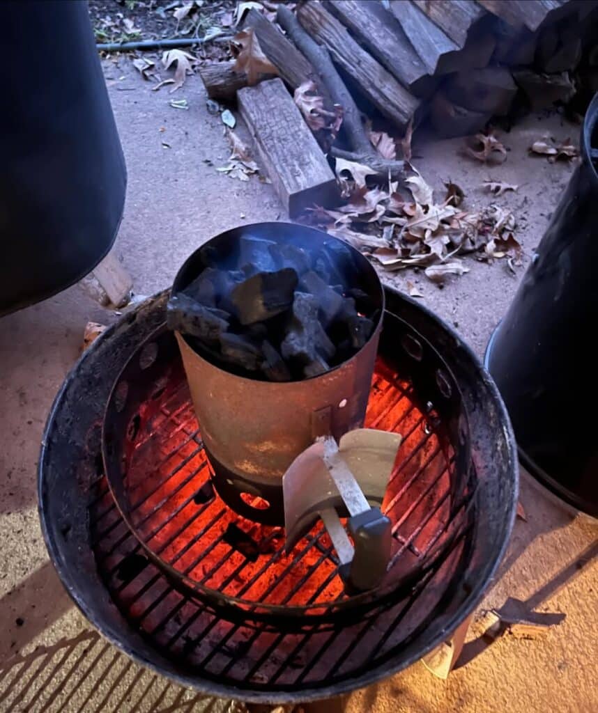 Weber Briquettes
